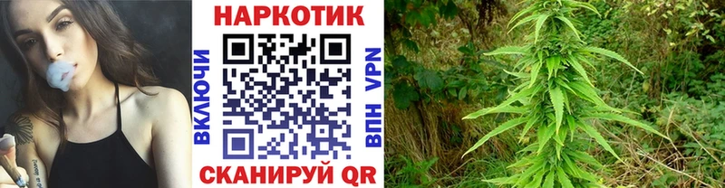 Купить СК  Галлюциногенные грибы  КОКАИН  БУТИРАТ  Конопля  Меф  Гашиш  Красавино
