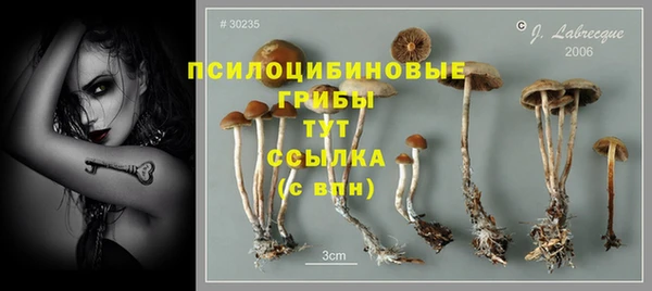 синтетический гашиш Козельск