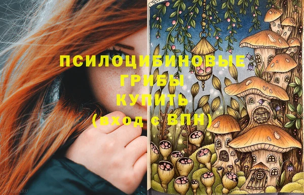 винт Костерёво