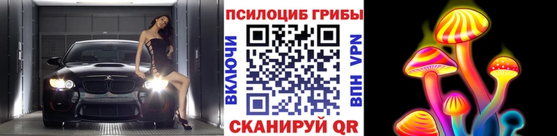 Псилоцибиновые грибы прущие грибы  Купить закладки  Красавино 