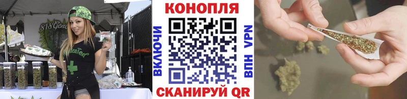 Купить  Красавино  Каннабис гибрид 